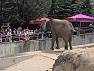 ZOO