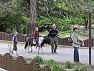 ZOO