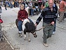 ZOO