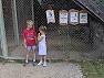 ZOO - Miškova sova