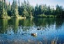 Jamské pleso